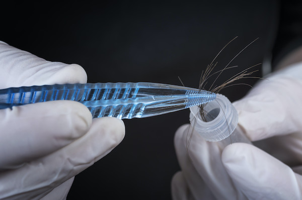 Interesting Tips To Crack A Hair Follicle Drug Test